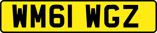WM61WGZ