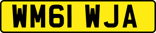 WM61WJA