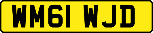 WM61WJD