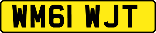 WM61WJT