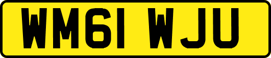 WM61WJU