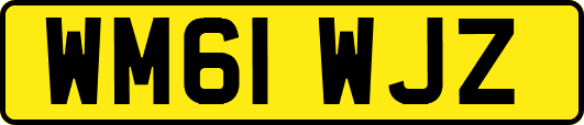 WM61WJZ