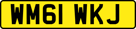 WM61WKJ