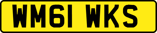 WM61WKS
