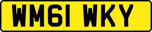 WM61WKY