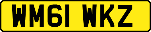 WM61WKZ