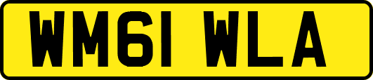 WM61WLA