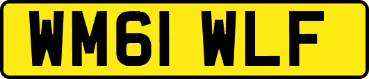 WM61WLF