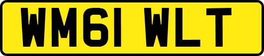 WM61WLT