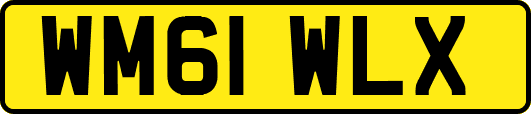 WM61WLX