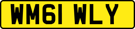 WM61WLY