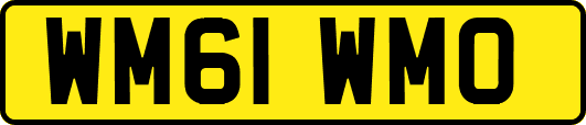 WM61WMO