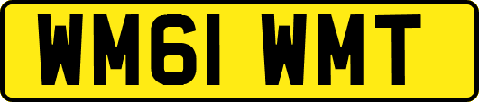 WM61WMT