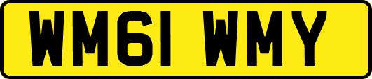 WM61WMY