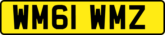 WM61WMZ