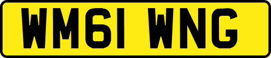 WM61WNG