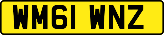 WM61WNZ