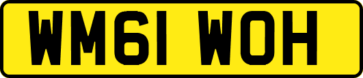 WM61WOH