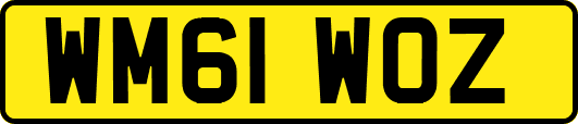 WM61WOZ