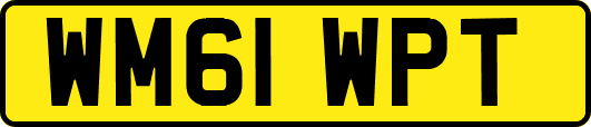 WM61WPT