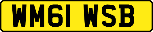 WM61WSB