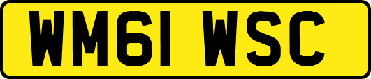 WM61WSC