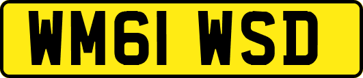 WM61WSD