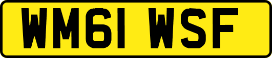 WM61WSF