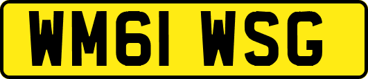 WM61WSG