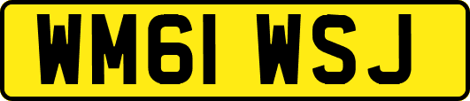 WM61WSJ