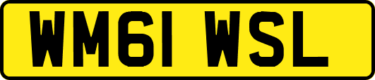 WM61WSL