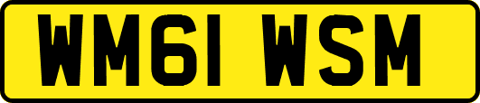 WM61WSM