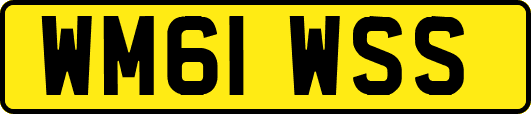 WM61WSS