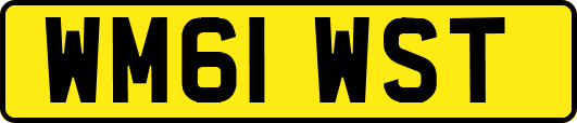 WM61WST