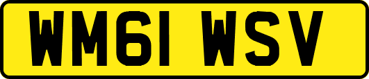 WM61WSV