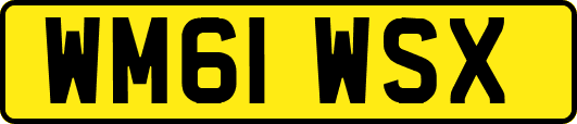 WM61WSX