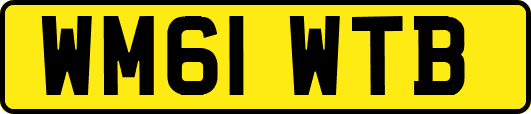 WM61WTB