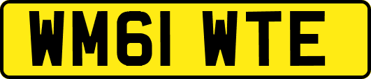 WM61WTE