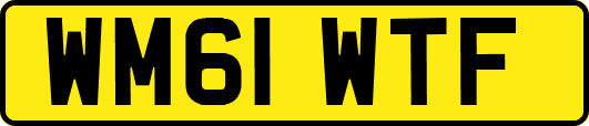 WM61WTF