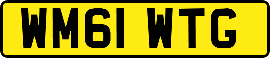 WM61WTG