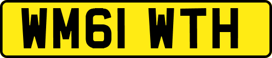 WM61WTH