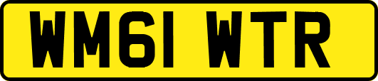 WM61WTR