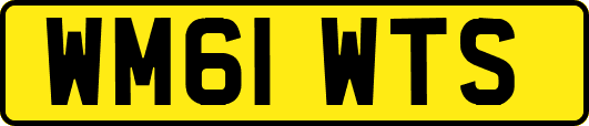 WM61WTS