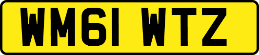 WM61WTZ