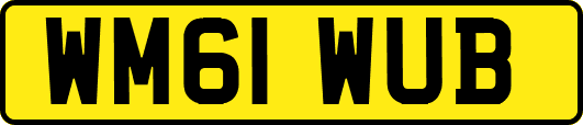 WM61WUB