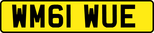 WM61WUE