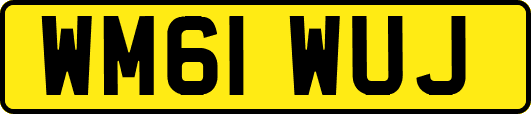WM61WUJ