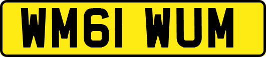 WM61WUM