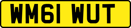 WM61WUT