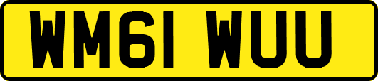 WM61WUU